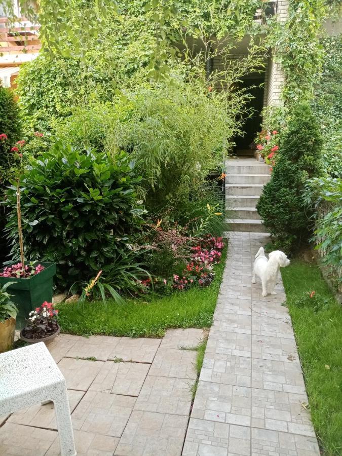 Dusica Apartmani ヤゴディナ エクステリア 写真