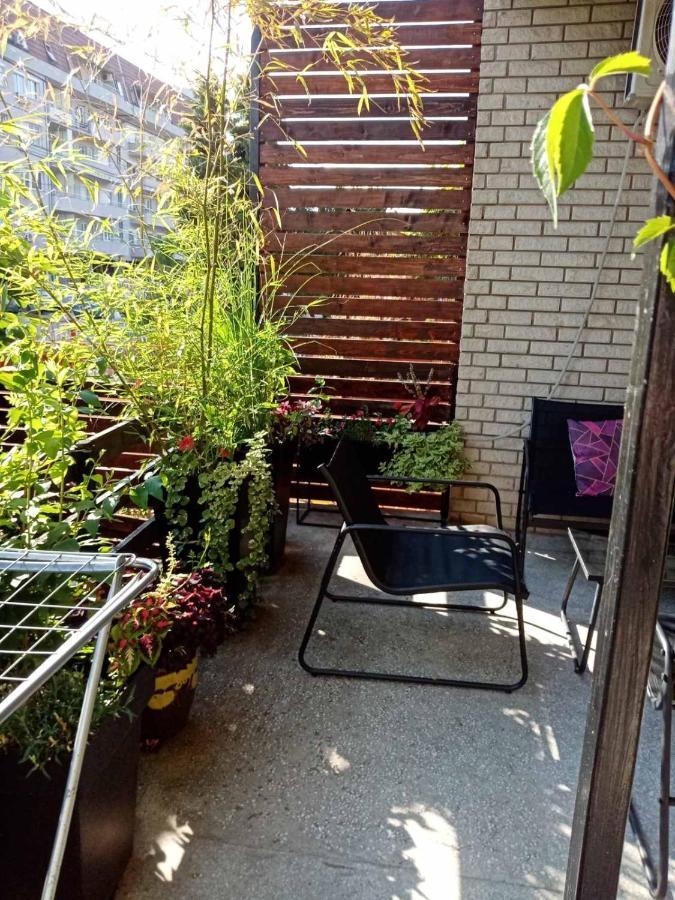 Dusica Apartmani ヤゴディナ エクステリア 写真